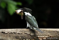 /album/fotos-do-nossos-estudios/a15447-jpg/